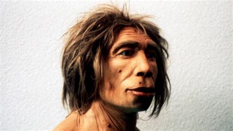 Skull Holds Clue To Neanderthal Sex News Au Australias Leading News Site For Latest