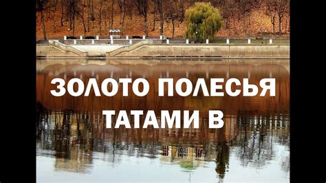 ЗОЛОТО ПОЛЕСЬЯ 2023 Татами В - YouTube