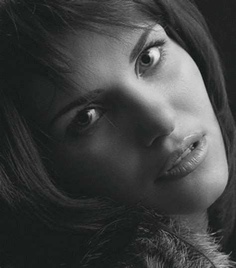 Portrait Paypal Donate Free Photo On Pixabay Pixabay