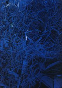 TOKYO NUDE 著篠山紀信 小宮山書店 KOMIYAMA TOKYO 神保町 古書美術作品の販売買取