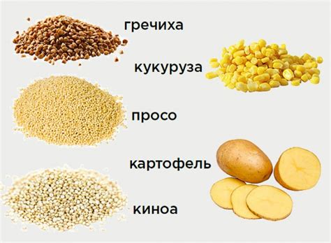 Безглютеновая мука: чем она отличается от обычной, её виды, история и ...