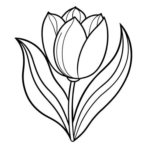 Tulipanes Para Dibujar 5