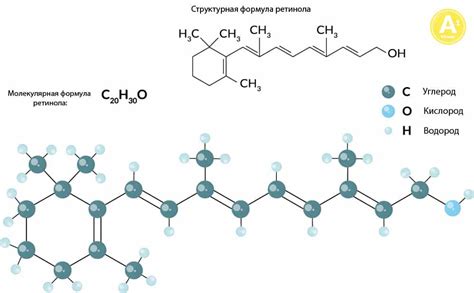 Ретинол (витамин а): описание, где содержится, полезные свойства и ...