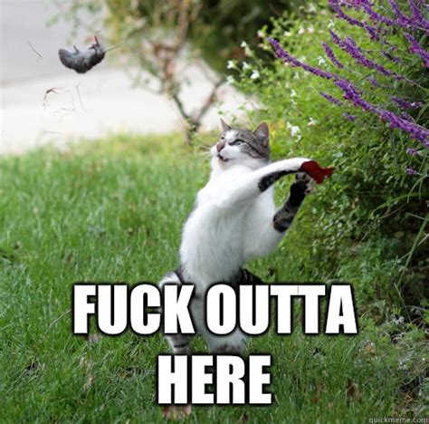 Fuck Outta Here Memes Quickmeme