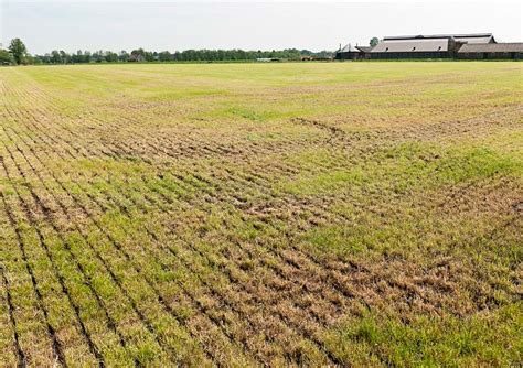 Использование органических удобрений (органический навоз) | Блог Agrofins