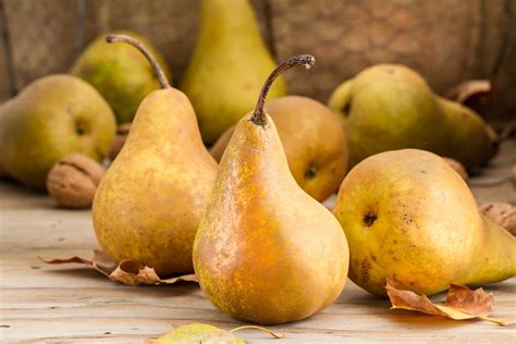 Poire Variétés Saison Calories