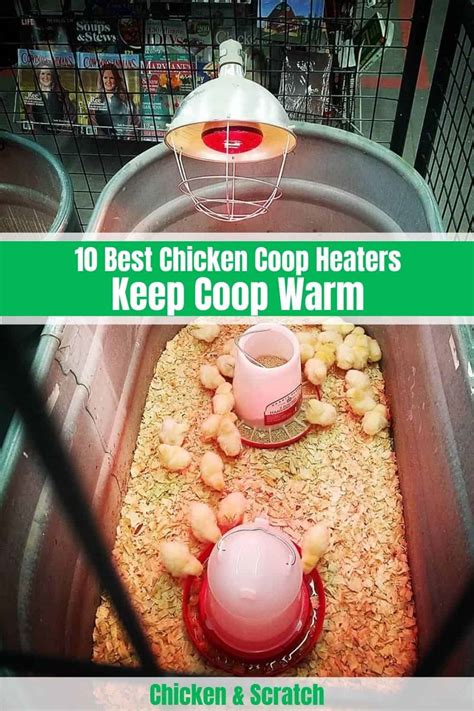 10 Best Chicken Coop Heaters Reviews