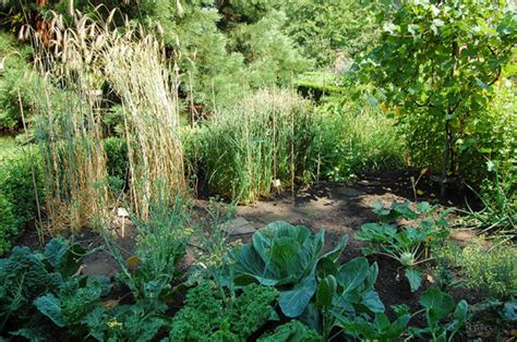 Botanischer Garten Oldenburg Gartenrot Blog