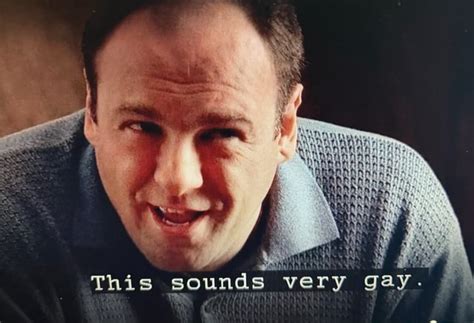 Sounds Very Gay This IFunny