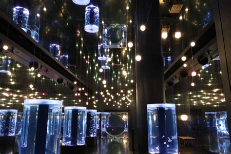 紅葉アートが彩る海の世界 NAKED MOMIJI AQUARIUM開催 新演出ドルフィンパフォーマンスも登場Shinagawa MAG品川の最新情報を紹介するメディア