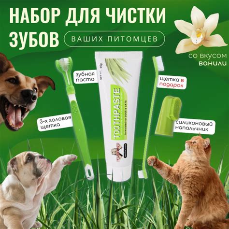 Зубная паста для собак и кошек + щетки / Набор для чистки зубов для ...