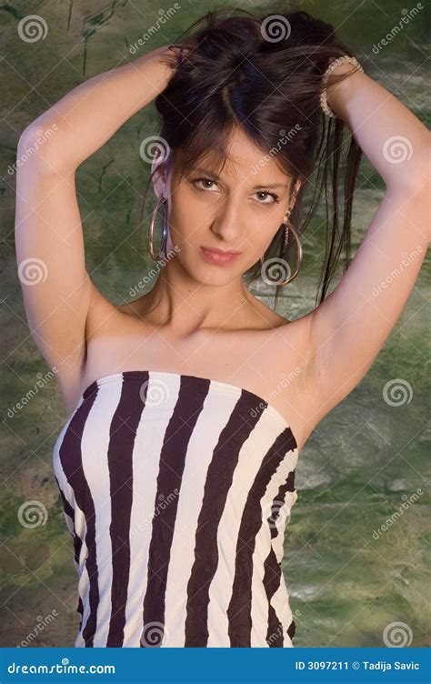 Portrait Brunette Stock Image Image Of Faces Model Fashion 3097211