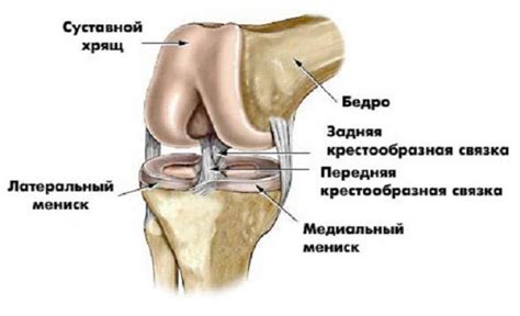 Перелом коленного сустава