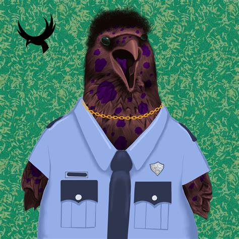 corvus  corvus aurum