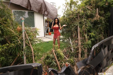 BlacksOnBlondes Danae Mari Porn Pic