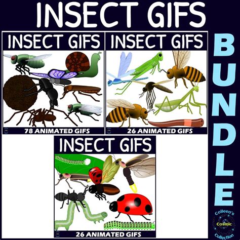 Insect S Clipart Bundle Animated Bugs Clip Art Made By Teachers