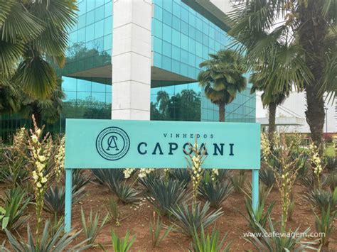 Vinícola Vinhedos Capoani Vinhos E Espumantes - Vinhedos Capoani: uma nova cor ao Vale dos Vinhedos