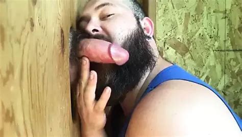 Free Bearded Sucker Gay Porn Videos XHamster