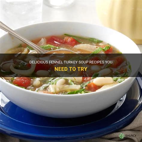 Delicious Fennel Turkey Soup Recipes You Need To Try Shuncy