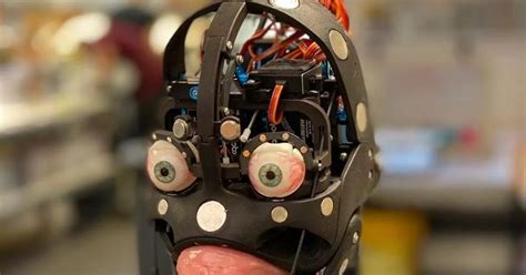 Sex Robot S Ai Brain Laid Bare In Image That Shows Inner Wirings Of Erotic Plaything Daily Star