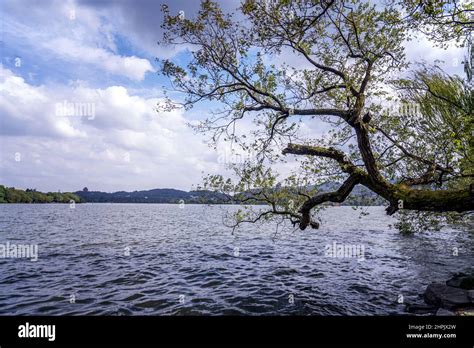 Hangzhou West Lake Scenery Stock Photo Alamy