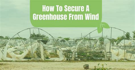 How To Secure A Greenhouse From Wind: Expert Tips