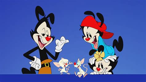 1331278 Animaniacs 2020 4k Ultra Hd Wallpaper Dot Warner Yakko