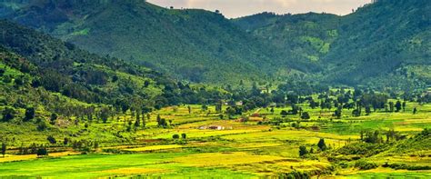 Exploring The Beauty Of Kerala Araku Valley