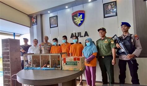 Polisi Tangkap Pelaku Penjual Satwa Dilindungi Di Banjarmasi