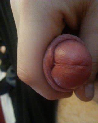 Small Dick Fun Porn Pictures XXX Photos Sex Images 1296615 PICTOA