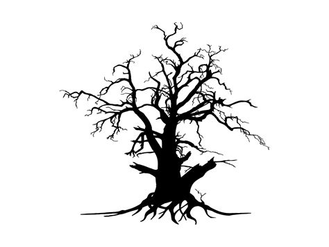 Black Branch Tree Or Naked Trees Silhouettes Hand Drawn Isolated Illustrations Vector