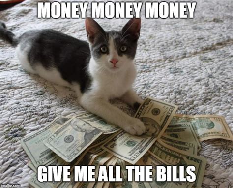 Show Me The Money Cat Meme