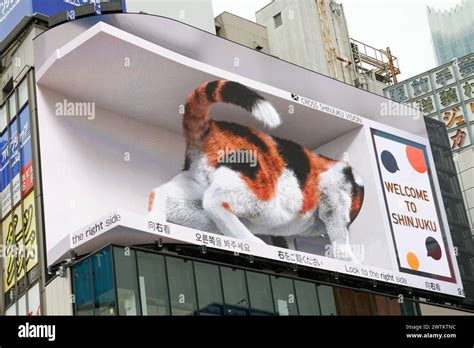 Digital Billboard Of Realistic Giant 3d Cat Amazes Onlookers In Tokyo