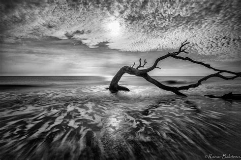 Monochrome – PHOTOGRAPHY