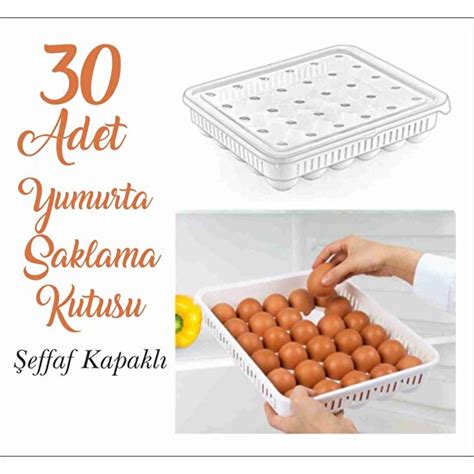 30 Bölmeli Yumurta Saklama Kabı Yumurta Saklama Kutusu Fiyatı