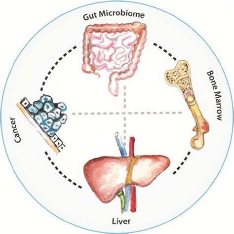 The systemic inflammation network | Download Scientific Diagram