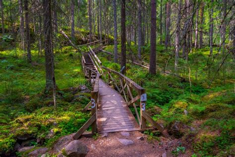 natural landscape  helvetinjarvi national park  finland stock photo