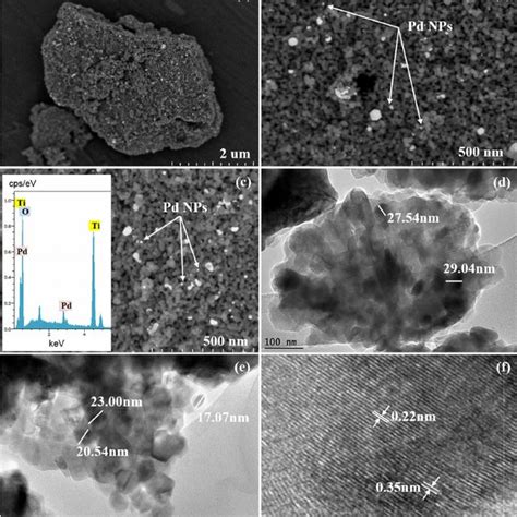 Fesem Images Of A Low Magnification B C High Magnification Of Wt