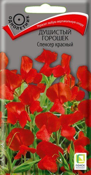 Семена Душистый горошек Спенсер красный 1, Поиск купить в Москве по ...