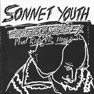 Sonnet Youth Confusion Is Sex Plus Kill Yr Idols Quimby S