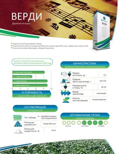 Верди - свекла сахарная. Характеристики и отзывы