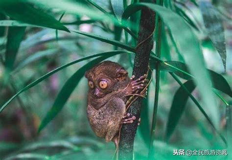 離中國超近的它，才是性價比超高冷門地 每日頭條