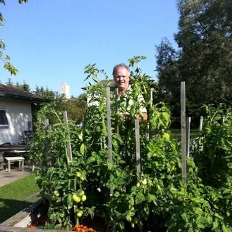 Amazon Pussy Cats CDs Vinyl