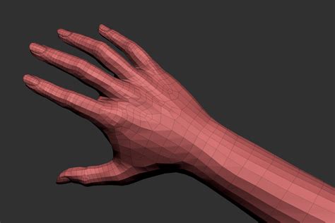 Realistic Female Arm 3d Model 99 Max Ma Ztl Fbx Obj Free3d