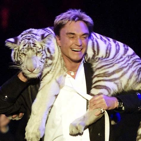 Siegfried Tiger Attack