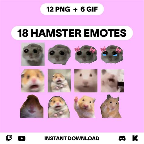 18 Hamster Emotes Pack Cute Sad Hamster With Bow Twitch Youtube