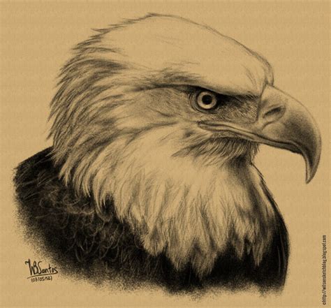 Realistic Eagle Drawing at GetDrawings | Free download