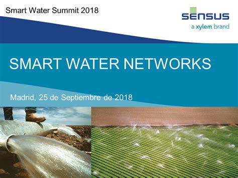 Smart Water Networks Iagua