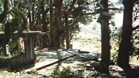 The Golden Age Of Porn Annette Haven 2 Cumshot Porn Feat Lee Caroll By EroticOnly XHamster