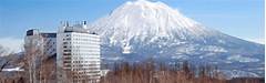 Hotels Niseko Perfect Spot For Business Travelers